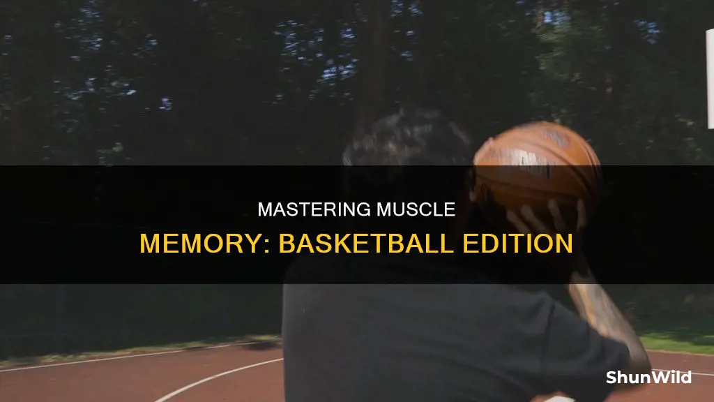 how to gain muscle memory in basketball