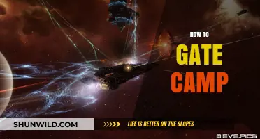 Mastering Gate Camping: Effective Strategies for Dominating Eve Online Battles