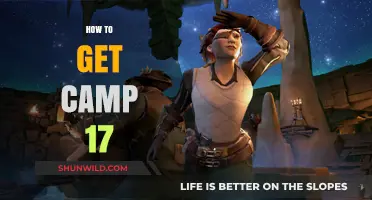 Unlocking Camp 17: A Step-by-Step Guide to Access and Success