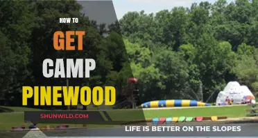 Unlocking Camp Pinewood: Your Ultimate Guide to Accessing the Adventure