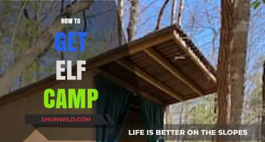 Discovering Elf Camp: A Beginner's Guide to Finding Magical Retreats