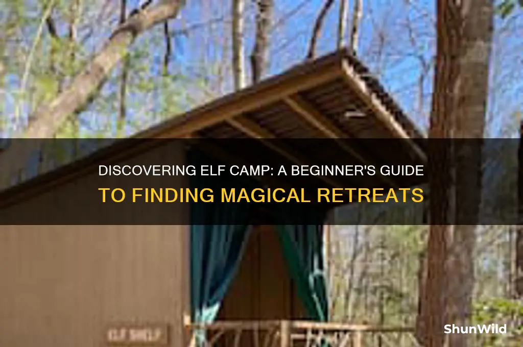 how to get elf camp
