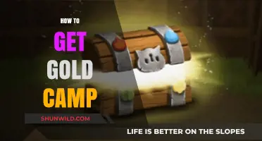Mastering Gold Camp Strategies: Proven Tips for Success and Rewards