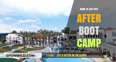 Mastering PFC: Essential Steps to Achieve Success Post-Boot Camp