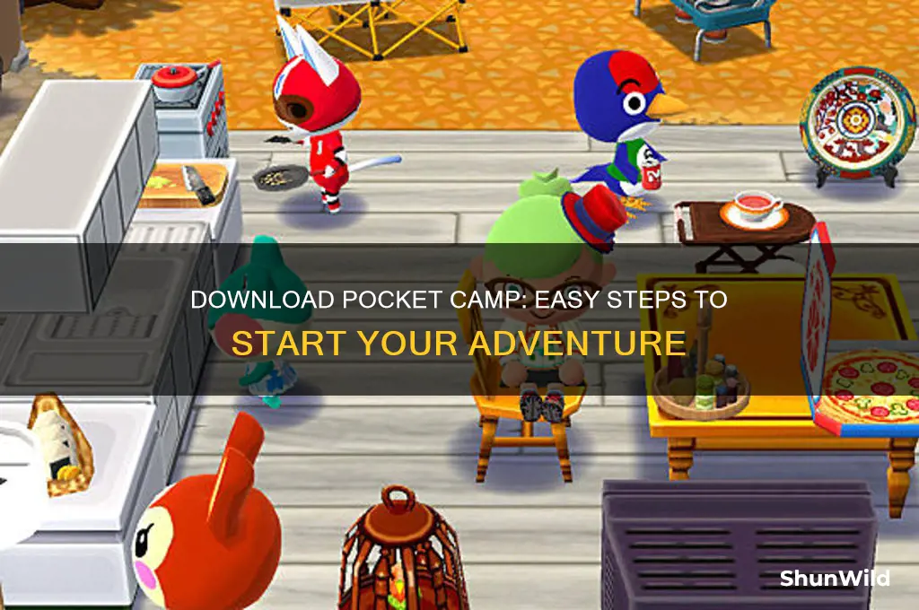 how to get pocket camp