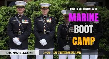 Mastering Marine Boot Camp: Strategies for Earning Your Promotion Fast