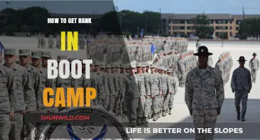 Master Boot Camp: Proven Strategies to Achieve Top Rank Fast
