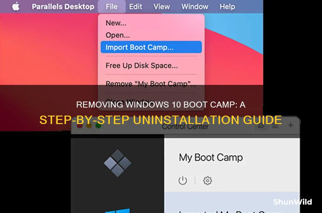 how to get rid of a windoes 10 boot camp