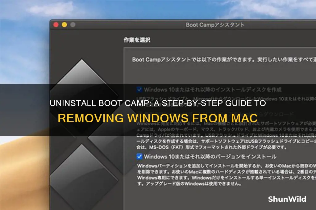 how to get rid of windows boot camp