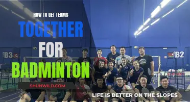 Badminton Team Building: Strategies for Forming Competitive Teams