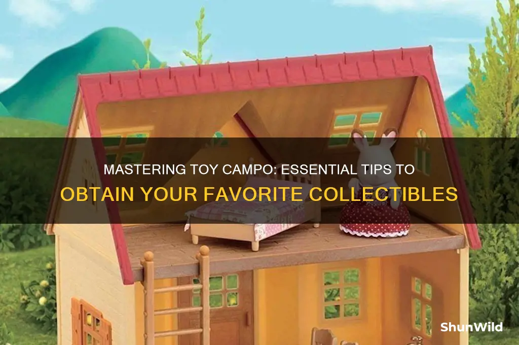 how to get toy campo