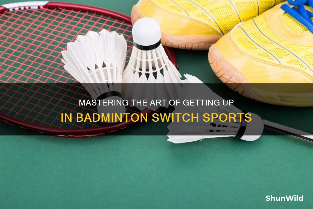 how to get up in badminton switch sports