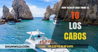 Sailing to Cabo: A Guide to Boat Trips from TJ