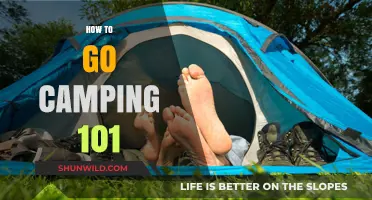 Essential Camping Tips: A Beginner's Guide to Outdoor Adventures