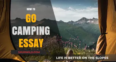 Essential Tips for Planning Your Perfect Camping Adventure