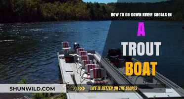 Mastering River Shoals: Trout Boat Techniques for Smooth Passage