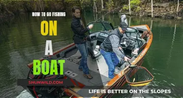 Boat Fishing: A Beginner's Guide to Getting Started