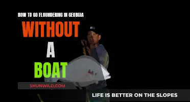 Floundering in Georgia: Boat-Free Strategies for Success