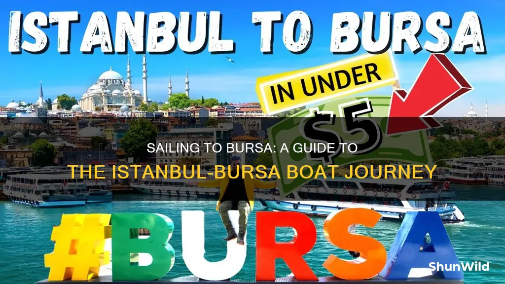 how to go from istanbul to bursa by boat