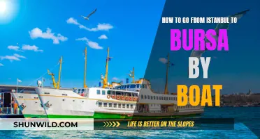 Traveling from Istanbul to Bursa: A Boat Ride Guide
