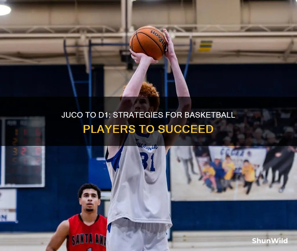 how to go from juco to d1 basketball
