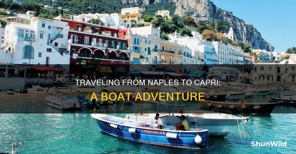 how to go from naples to capri by boat