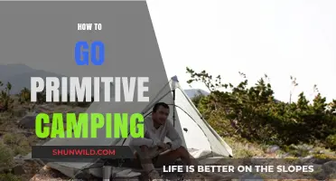 Master Primitive Camping: Essential Tips for Off-Grid Wilderness Adventures