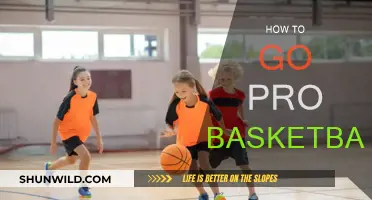 Mastering the Art of Going Pro in Basketball