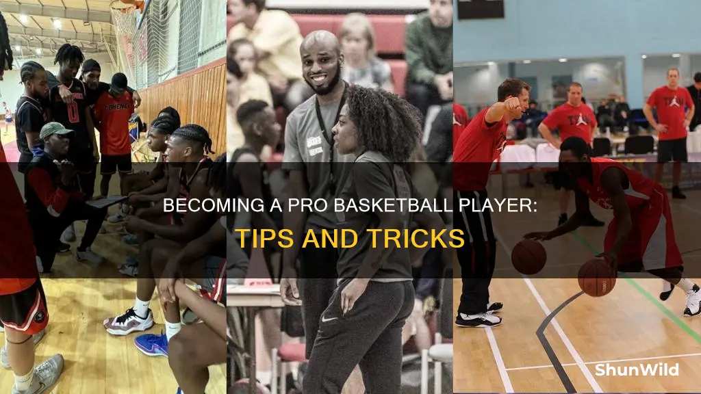 how to go pro in basketball