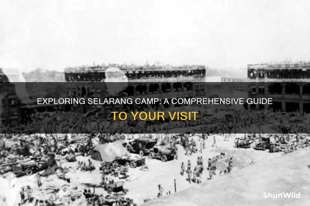 how to go selarang camp