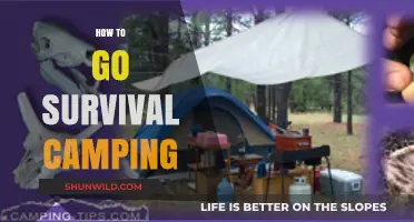 Master Survival Camping: Essential Tips for Thriving in the Wild