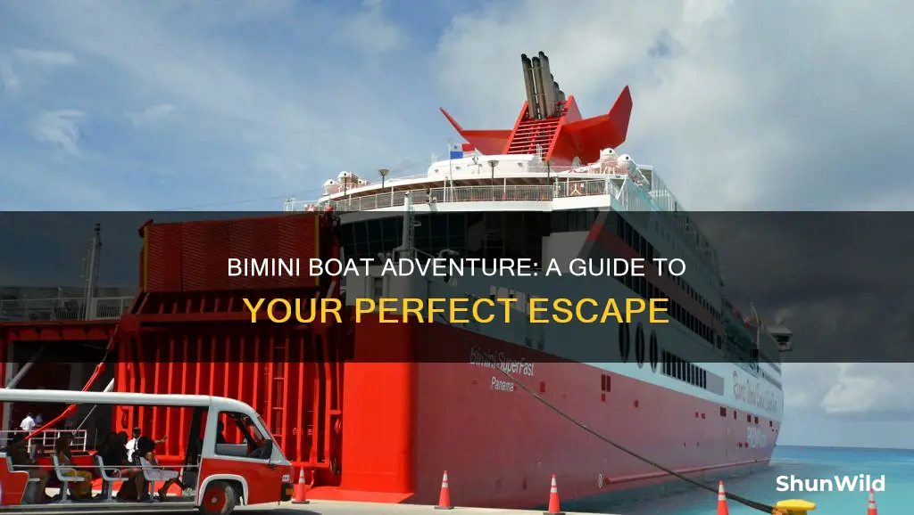 how to go to bimini by boat