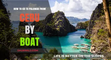 Palawan Adventure: Cebu to Paradise by Sea