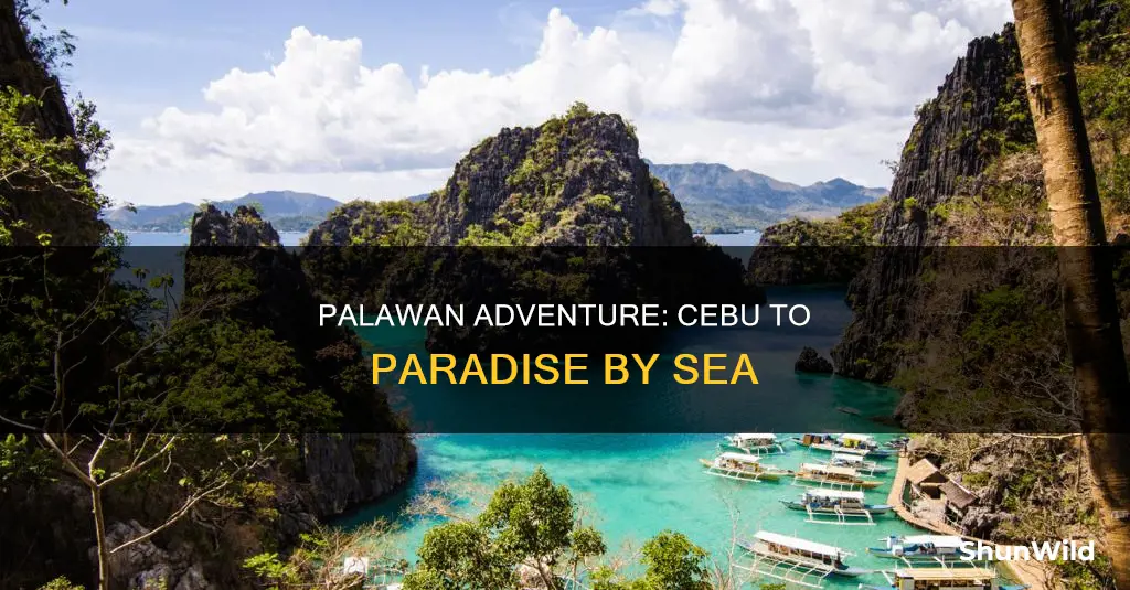 how to go to palawan from cebu by boat