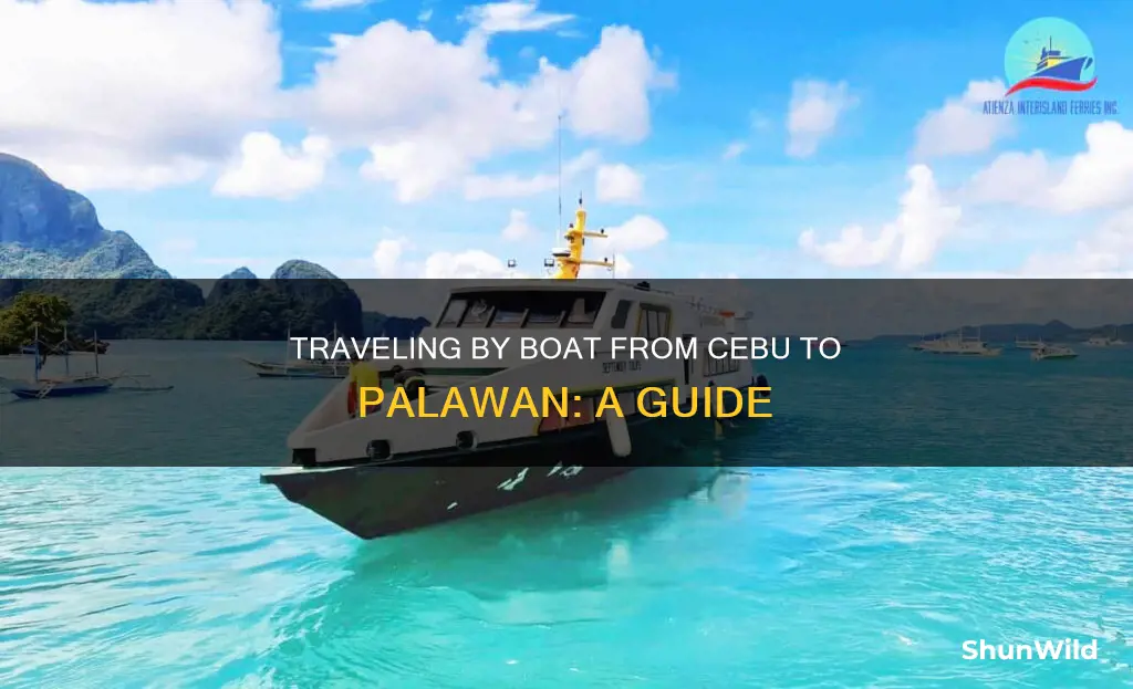 how to go to palawan from cebu by boat