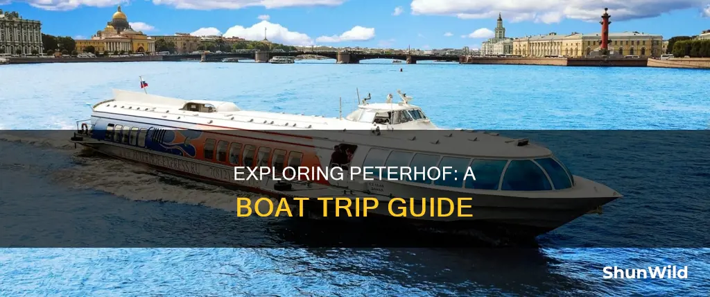 how to go to peterhof by boat