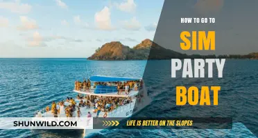 A Guide to Attending the Sim Party Boat: Tips and Tricks