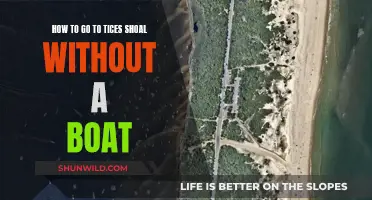 Exploring Tices Shoal: Boat-Free Adventure Ideas