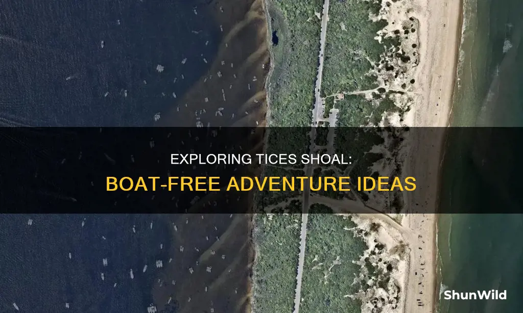 how to go to tices shoal without a boat