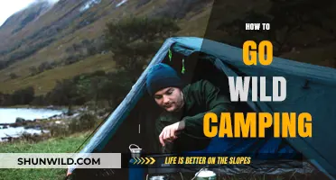 Wild Camping 101: Essential Tips for Safe and Adventurous Outdoor Escapes