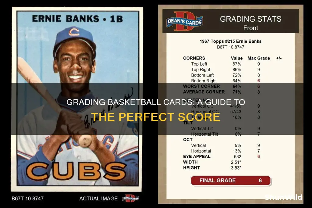 how to grade basketball cards