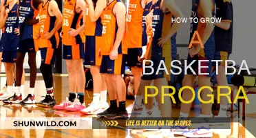 Building a Basketball Dynasty: Strategies for Success