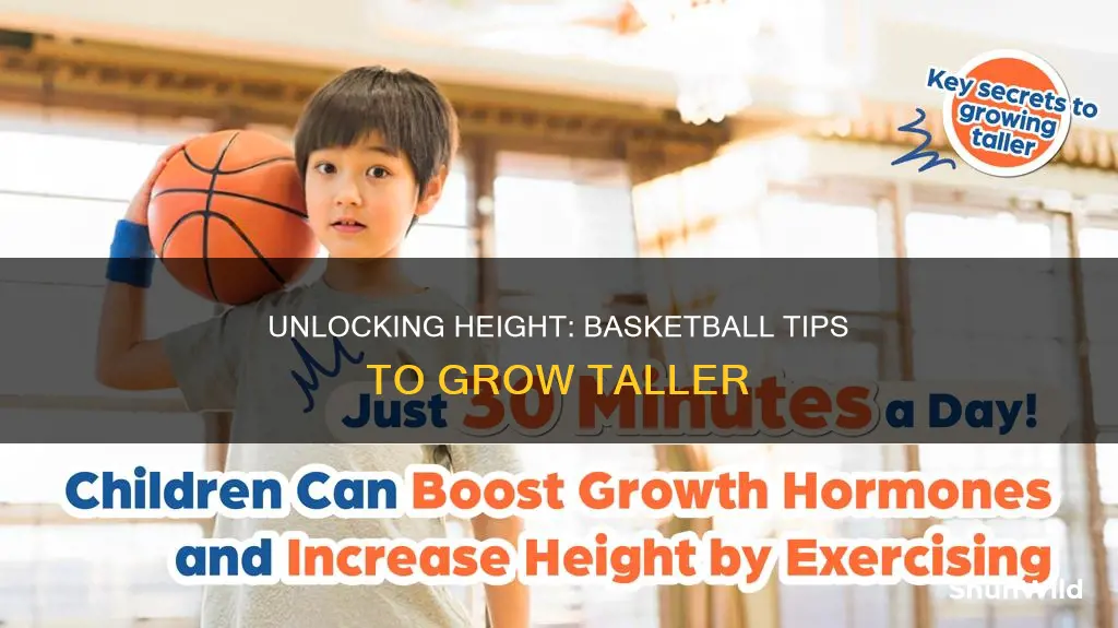 how to grow taller basketball tips