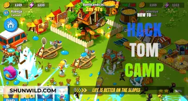 Mastering Tom Camp: Advanced Strategies to Outsmart and Dominate the Game