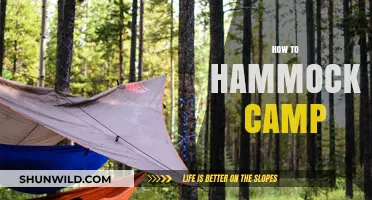 Master Hammock Camping: Essential Tips for Comfortable Outdoor Adventures