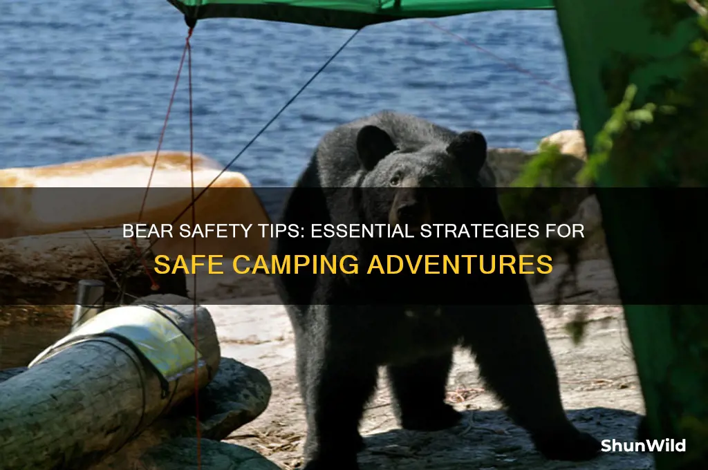 how to handle bears camping