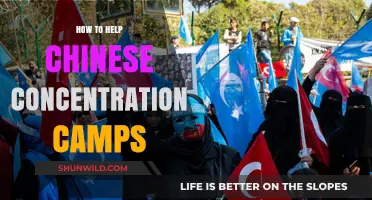 Supporting Uyghur Rights: Strategies to Address Chinese Concentration Camps