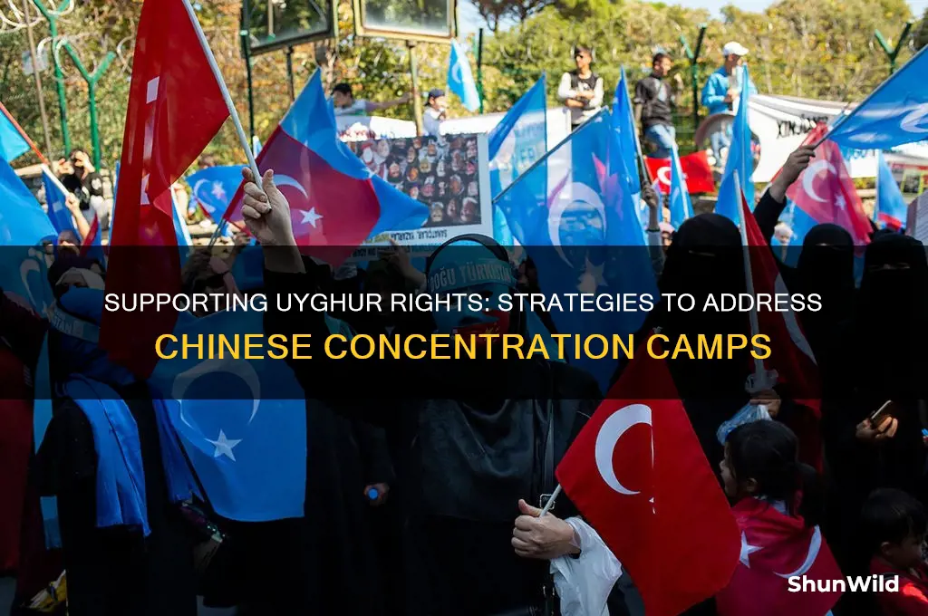 how to help chinese concentration camps