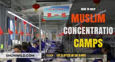 Supporting Uyghur Muslims: Actions to Aid Concentration Camp Victims