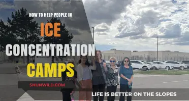 Supporting Survivors: Compassionate Ways to Aid ICE Detention Camp Inmates